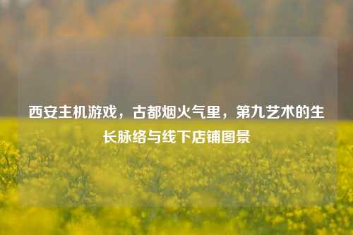 西安主机游戏，古都烟火气里，第九艺术的生长脉络与线下店铺图景