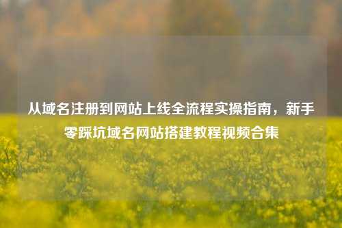 从域名注册到网站上线全流程实操指南，新手零踩坑域名网站搭建教程视频合集