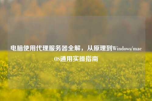 电脑使用代理服务器全解，从原理到Windows/macOS通用实操指南