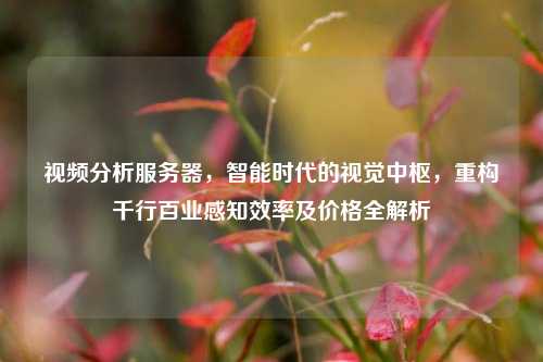 视频分析服务器，智能时代的视觉中枢，重构千行百业感知效率及价格全解析