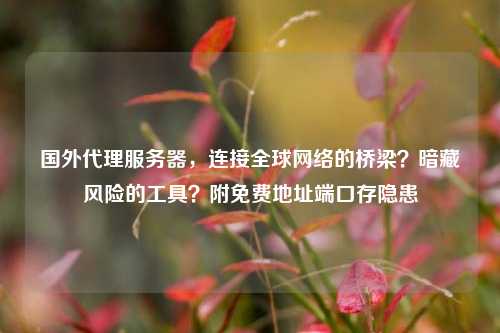 国外代理服务器，连接全球网络的桥梁？暗藏风险的工具？附免费地址端口存隐患