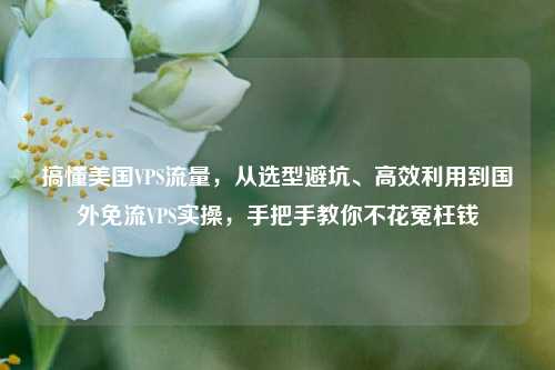 搞懂美国VPS流量，从选型避坑、高效利用到国外免流VPS实操，手把手教你不花冤枉钱