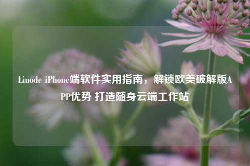 Linode iPhone端软件实用指南，解锁欧美破解版APP优势 打造随身云端工作站