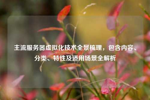 主流服务器虚拟化技术全景梳理,包含内容、分类、特性及适用场景全解析