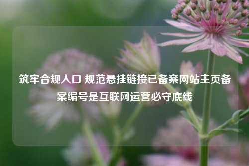 筑牢合规入口 规范悬挂链接已备案网站主页备案编号是互联网运营必守底线