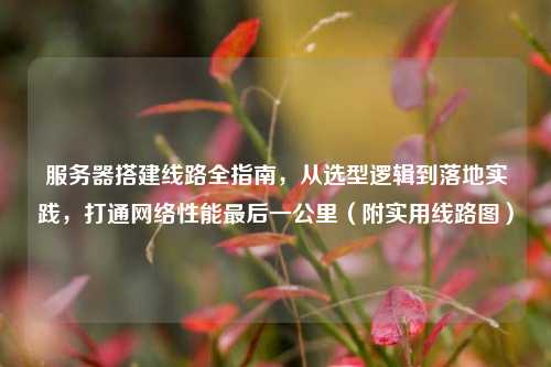 服务器搭建线路全指南，从选型逻辑到落地实践，打通网络性能最后一公里（附实用线路图）