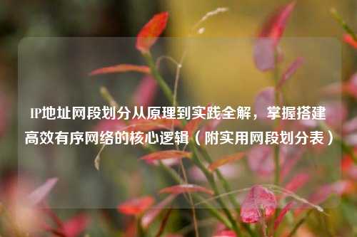IP地址网段划分从原理到实践全解,掌握搭建高效有序网络的核心逻辑(附实用网段划分表)