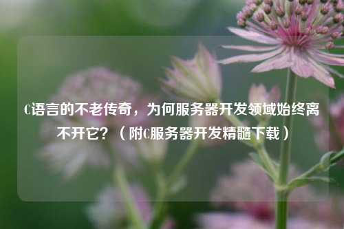 C语言的不老传奇,为何服务器开发领域始终离不开它?(附C服务器开发精髓下载)