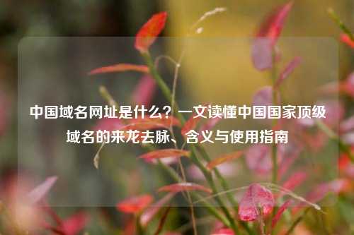 中国域名网址是什么？一文读懂中国国家顶级域名的来龙去脉、含义与使用指南