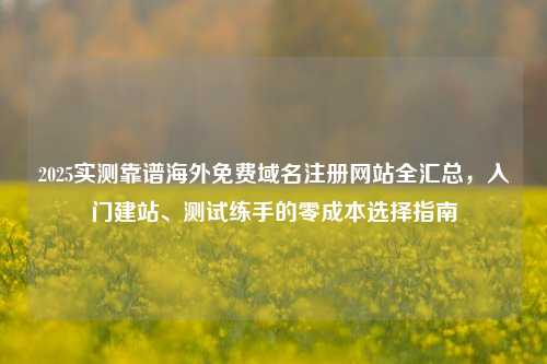 2025实测靠谱海外免费域名注册网站全汇总，入门建站、测试练手的零成本选择指南