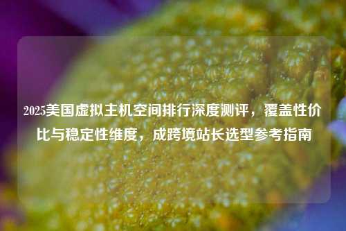 2025美国虚拟主机空间排行深度测评，覆盖性价比与稳定性维度，成跨境站长选型参考指南