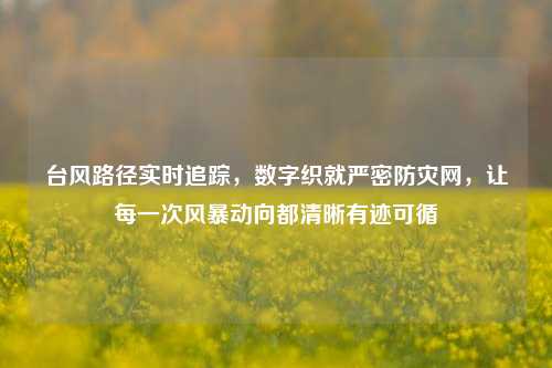 台风路径实时追踪，数字织就严密防灾网，让每一次风暴动向都清晰有迹可循