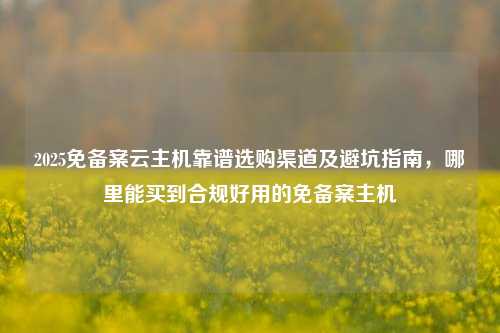 2025免备案云主机靠谱选购渠道及避坑指南，哪里能买到合规好用的免备案主机