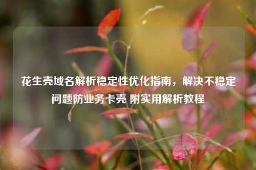 花生壳域名解析稳定性优化指南，解决不稳定问题防业务卡壳 附实用解析教程