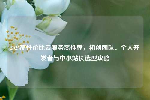 2025高性价比云服务器推荐，初创团队、个人开发者与中小站长选型攻略