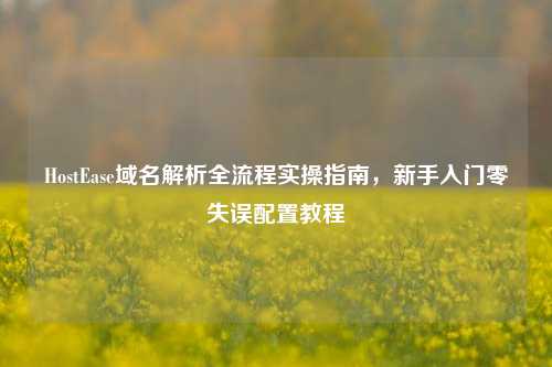 HostEase域名解析全流程实操指南，新手入门零失误配置教程