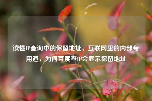 读懂IP查询中的保留地址，互联网里的内部专用道，为何百度查IP会显示保留地址