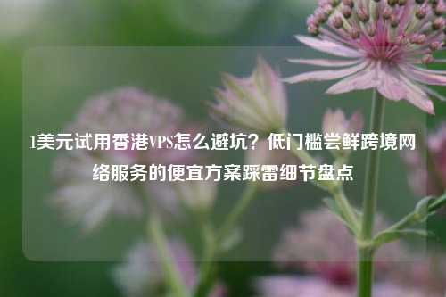 1美元试用香港VPS怎么避坑？低门槛尝鲜跨境网络服务的便宜方案踩雷细节盘点