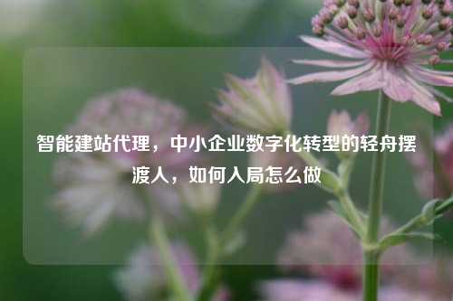 智能建站代理，中小企业数字化转型的轻舟摆渡人，如何入局怎么做