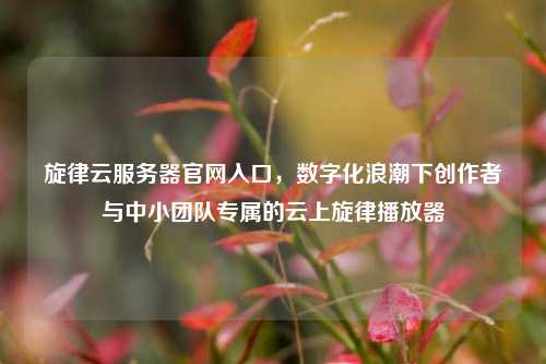 旋律云服务器官网入口，数字化浪潮下创作者与中小团队专属的云上旋律播放器