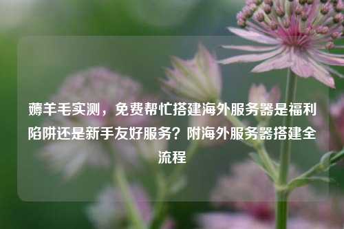 薅羊毛实测，免费帮忙搭建海外服务器是福利陷阱还是新手友好服务？附海外服务器搭建全流程