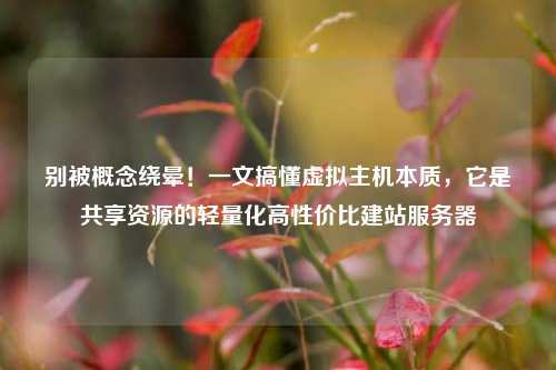 别被概念绕晕！一文搞懂虚拟主机本质，它是共享资源的轻量化高性价比建站服务器