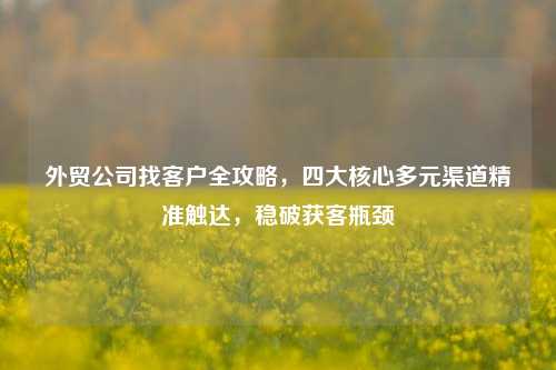 外贸公司找客户全攻略，四大核心多元渠道精准触达，稳破获客瓶颈