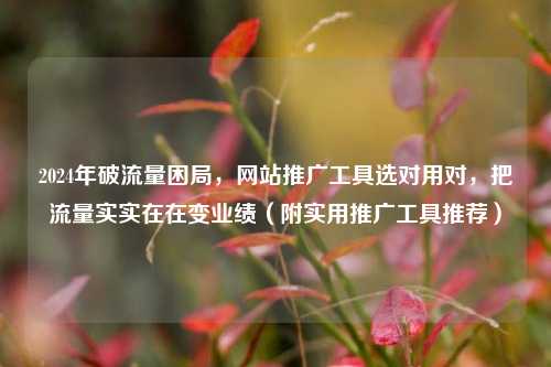 2024年破流量困局，网站推广工具选对用对，把流量实实在在变业绩（附实用推广工具推荐）
