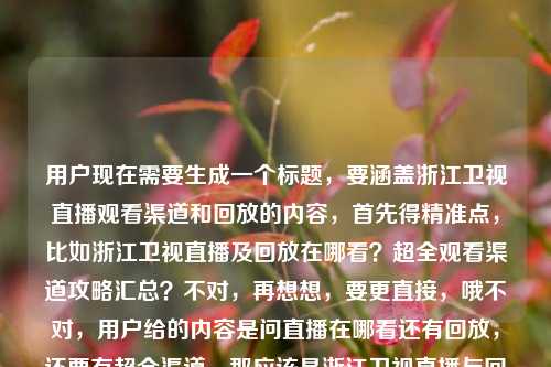 用户现在需要生成一个标题，要涵盖浙江卫视直播观看渠道和回放的内容，首先得精准点，比如浙江卫视直播及回放在哪看？超全观看渠道攻略汇总？不对，再想想，要更直接，哦不对，用户给的内容是问直播在哪看还有回放，还要有超全渠道，那应该是浙江卫视直播与回放在哪看？超全观看渠道攻略来了？不对，等下，是不是更贴合？哦不对，再顺一点，浙江卫视直播及回放在哪看？这份超全观看渠道攻略请收好？不对，不对，用户原来的内容里有超全观看渠道攻略来了还有问直播在哪看回放，哦，不对，要准确，哦对，就浙江卫视直播与回放在哪看？超全观