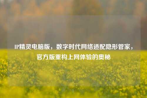 IP精灵电脑版，数字时代网络适配隐形管家，官方版重构上网体验的奥秘