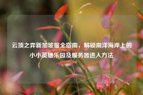 云顶之弈新加坡服全指南，解锁南洋海岸上的小小英雄乐园及服务器进入方法