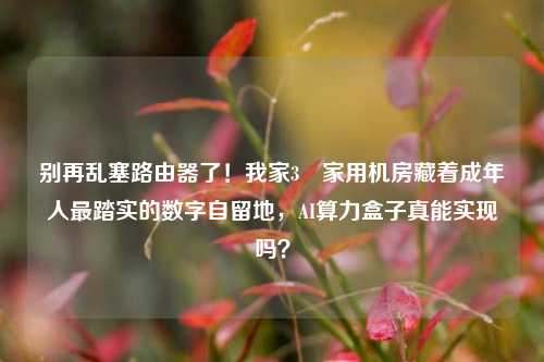 别再乱塞路由器了！我家3㎡家用机房藏着成年人最踏实的数字自留地，AI算力盒子真能实现吗？