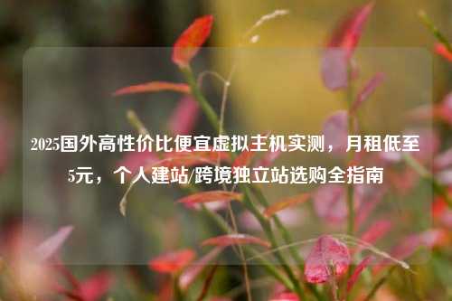 2025国外高性价比便宜虚拟主机实测，月租低至5元，个人建站/跨境独立站选购全指南