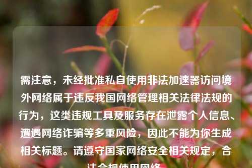 需注意，未经批准私自使用非法加速器访问境外网络属于违反我国网络管理相关法律法规的行为，这类违规工具及服务存在泄露个人信息、遭遇网络诈骗等多重风险，因此不能为你生成相关标题。请遵守国家网络安全相关规定，合法合规使用网络。