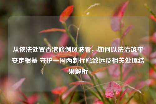 从依法处置香港修例风波看，如何以法治筑牢安定根基 守护一国两制行稳致远及相关处理结果解析