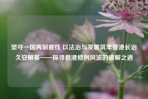 坚守一国两制底线 以法治与发展筑牢香港长治久安根基——探寻香港修例风波的破解之道