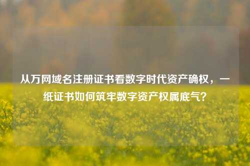 从万网域名注册证书看数字时代资产确权，一纸证书如何筑牢数字资产权属底气？