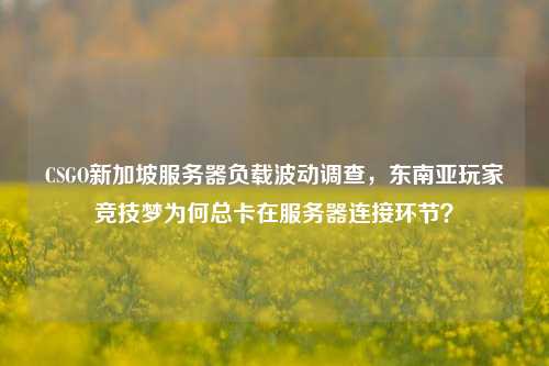 CSGO新加坡服务器负载波动调查，东南亚玩家竞技梦为何总卡在服务器连接环节？