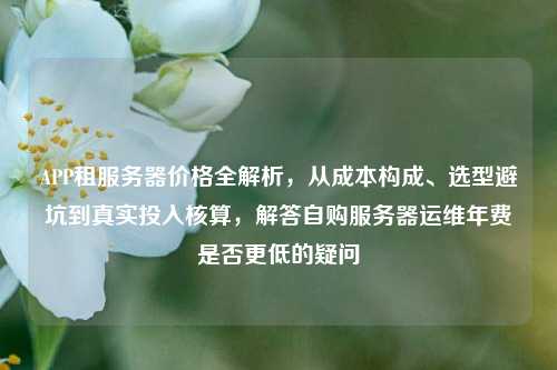 APP租服务器价格全解析，从成本构成、选型避坑到真实投入核算，解答自购服务器运维年费是否更低的疑问