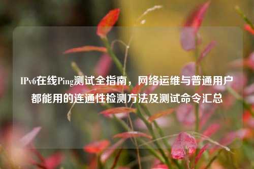IPv6在线Ping测试全指南，网络运维与普通用户都能用的连通性检测方法及测试命令汇总