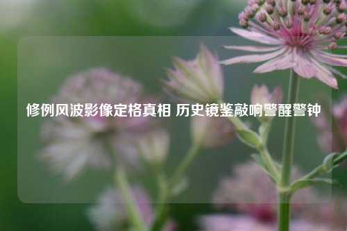 修例风波影像定格真相 历史镜鉴敲响警醒警钟