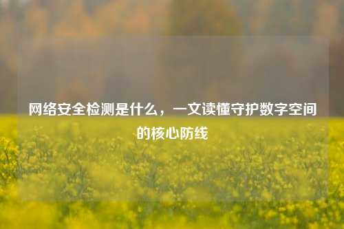 网络安全检测是什么，一文读懂守护数字空间的核心防线