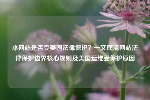 本网站是否受美国法律保护?一文厘清网站法律保护边界核心规则及美国运维受保护原因