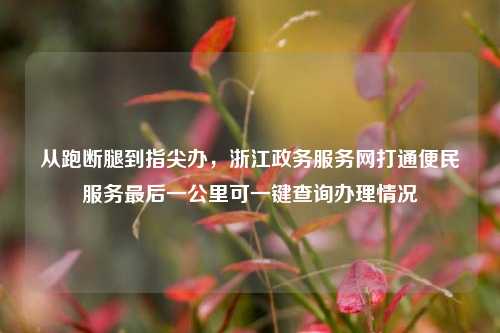 从跑断腿到指尖办,浙江政务服务网打通便民服务最后一公里可一键查询办理情况