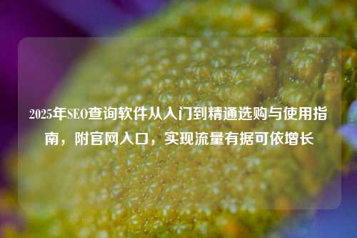 2025年SEO查询软件从入门到精通选购与使用指南,附官网入口,实现流量有据可依增长