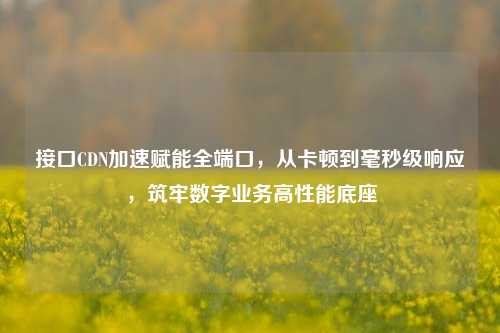接口CDN加速赋能全端口,从卡顿到毫秒级响应,筑牢数字业务高性能底座