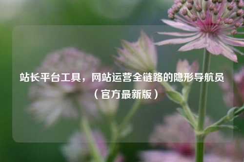 站长平台工具，网站运营全链路的隐形导航员（官方最新版）