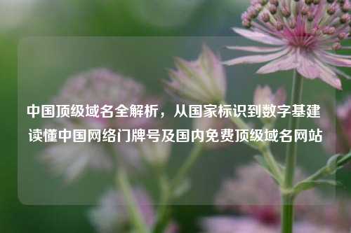 中国顶级域名全解析,从国家标识到数字基建 读懂中国网络门牌号及国内免费顶级域名网站