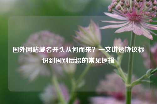 国外网站域名开头从何而来?一文讲透协议标识到国别后缀的常见逻辑