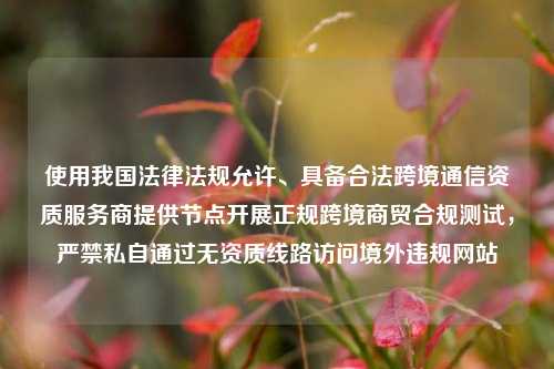 使用我国法律法规允许、具备合法跨境通信资质服务商提供节点开展正规跨境商贸合规测试，严禁私自通过无资质线路访问境外违规网站